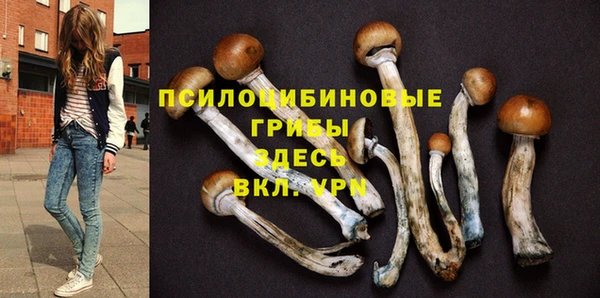марки lsd Рославль