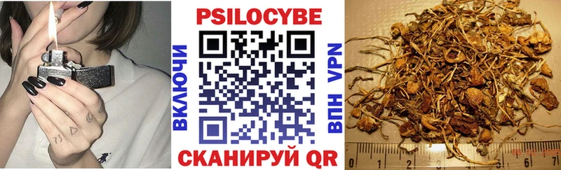 Галлюциногенные грибы прущие грибы  Тетюши 